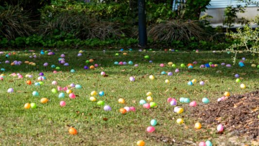 Families gathered at McLean Park in North Myrtle Beach for a morning filled with laughter, excitement, and the simple joy of tradition.
Children raced across the grass in search of hidden eggs, while parents and grandparents looked on — some remembering their own days of doing the very same thing.
It’s moments like these that remind us… the Grand Strand isn’t just a place you visit — it’s a place where memories are made and shared across generations.