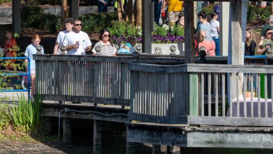 Families gathered at McLean Park in North Myrtle Beach for a morning filled with laughter, excitement, and the simple joy of tradition.
Children raced across the grass in search of hidden eggs, while parents and grandparents looked on — some remembering their own days of doing the very same thing.
It’s moments like these that remind us… the Grand Strand isn’t just a place you visit — it’s a place where memories are made and shared across generations.