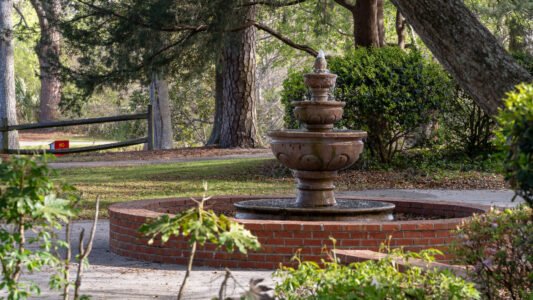 McLean Park in North Myrtle Beach offers a quiet place to walk, relax, and spend time with family just a few blocks from the ocean.
With shaded paths, a playground, picnic shelters, and a peaceful pond, it’s a simple and free way to slow down and enjoy the day along the Grand Strand.