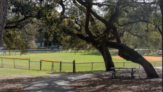 McLean Park in North Myrtle Beach offers a quiet place to walk, relax, and spend time with family just a few blocks from the ocean.
With shaded paths, a playground, picnic shelters, and a peaceful pond, it’s a simple and free way to slow down and enjoy the day along the Grand Strand.
