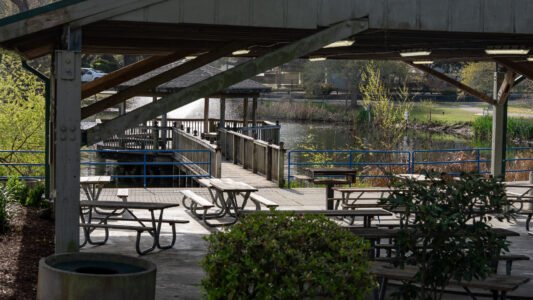 McLean Park in North Myrtle Beach offers a quiet place to walk, relax, and spend time with family just a few blocks from the ocean.
With shaded paths, a playground, picnic shelters, and a peaceful pond, it’s a simple and free way to slow down and enjoy the day along the Grand Strand.