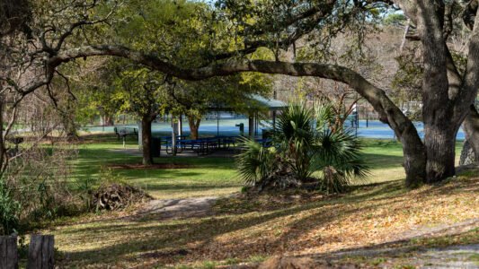 McLean Park in North Myrtle Beach offers a quiet place to walk, relax, and spend time with family just a few blocks from the ocean.
With shaded paths, a playground, picnic shelters, and a peaceful pond, it’s a simple and free way to slow down and enjoy the day along the Grand Strand.